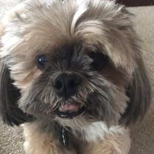 Meet your Posher, Pat